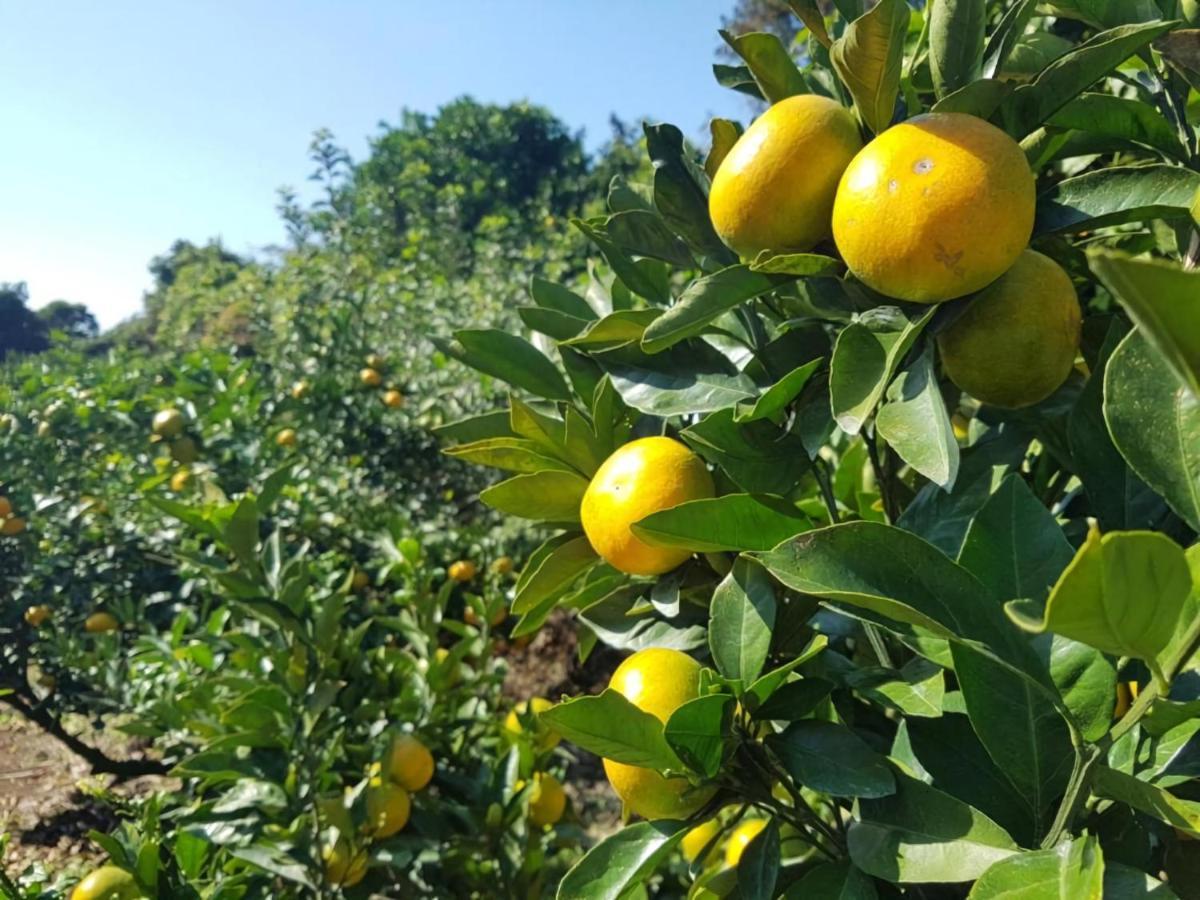 汉诺度假屋 西归浦市 外观 照片