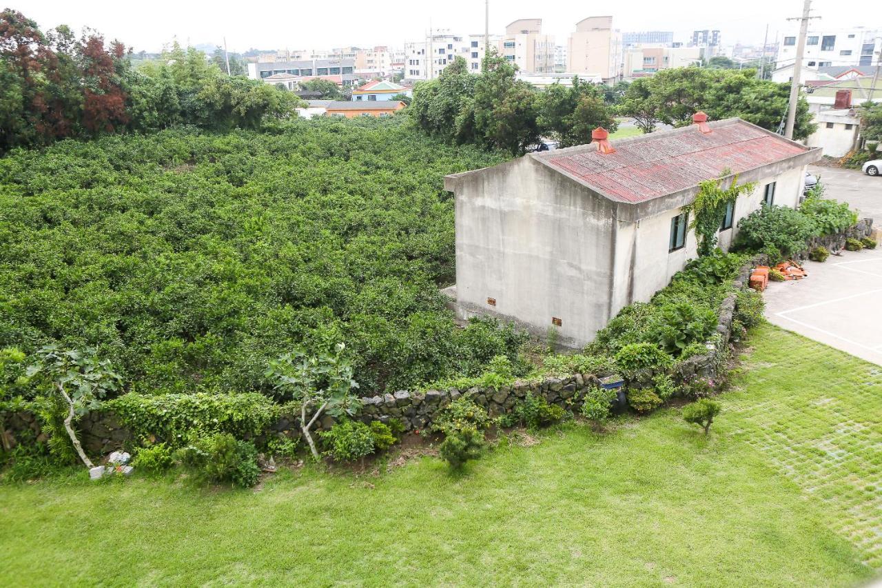 汉诺度假屋 西归浦市 外观 照片